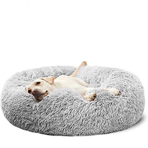 Best Large Round Dog Beds