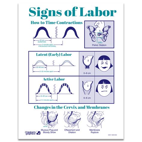 Signs of Labor Educational Tear Pad | Childbirth Graphics