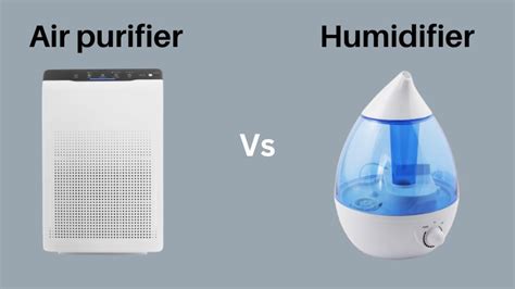 Air Purifier vs. Humidifier | Which One Should You Get?