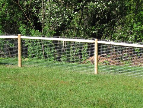 Privacy Fence Ideas Dogs at Megan Moores blog