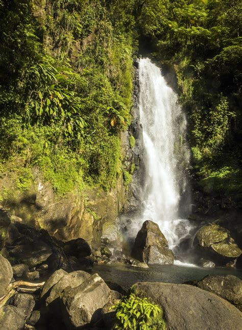 Waterfalls, Rivers and Rain Forest on Dominica - The New York Times