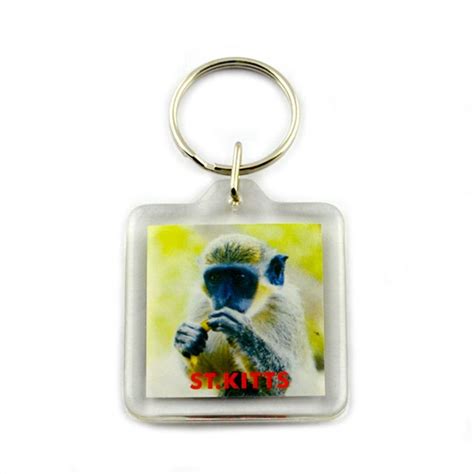 Custom Picture Keyring Bulk Photo Key Chain Acrylic Keychains - Acrylic ...