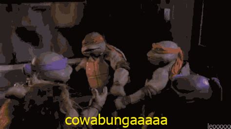 Teenage Mutant Ninja Turtles Animated GIF