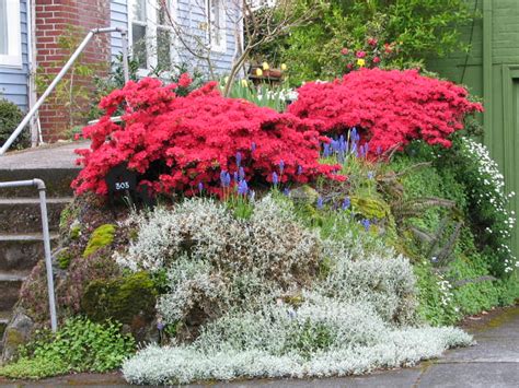 Rock Garden Wall | Lava rock garden wall with plants planted… | Flickr