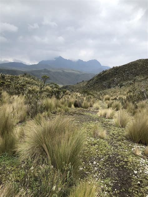 Hiking on Cotopaxi, Ecuador : r/Outdoors