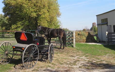 Customs vary among Ontario Amish | Canadian Mennonite Magazine