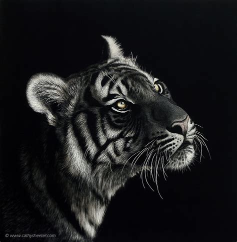 Scratch Art Animals