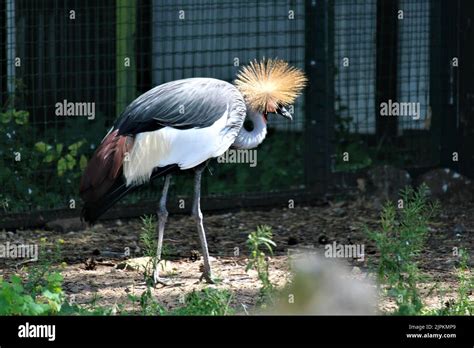 The beautiful nature of Latvia Stock Photo - Alamy