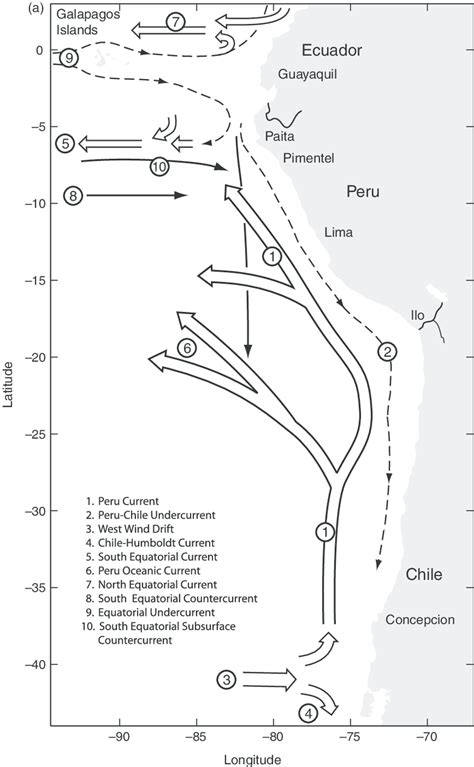 3. Humboldt Current region. (a) Circulation. (b) Distribution of ...