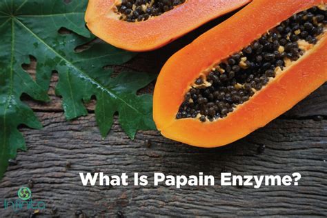 What Is Papain Enzyme And How Is It Made? | Benefits Of Papain Enzyme