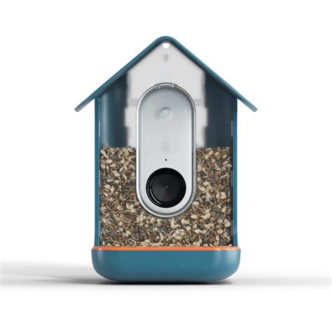 Bird Buddy : Smart Bird Feeder