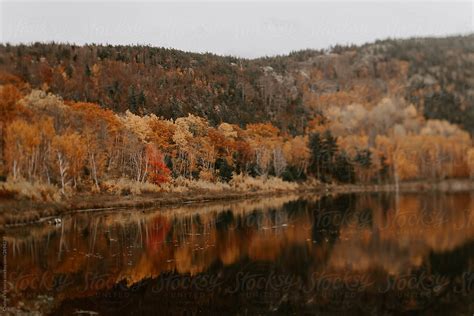 "Bar Harbor Maine In Autumn" by Stocksy Contributor "Chelsea Victoria ...