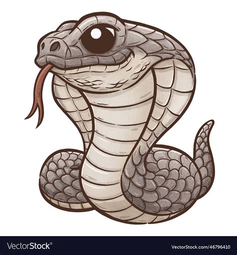 Snake Royalty Free Vector Image - VectorStock