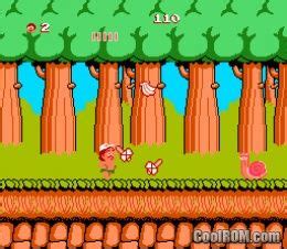 Adventure Island ROM Download for Nintendo / NES - CoolROM.com