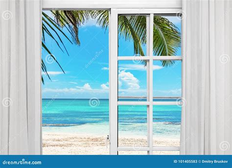 Window open palm beach stock image. Image of beach, access - 101405583