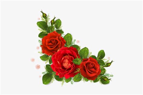 Visit - Corner Border Red Roses - Free Transparent PNG Download - PNGkey