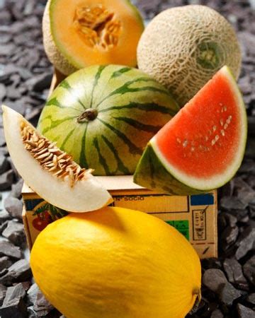 Summer Melon Variety Guide (PHOTOS) | HuffPost Life