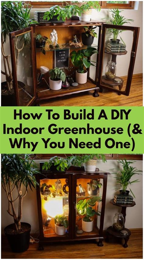 How To Build A DIY Indoor Greenhouse (& Why You Need One)