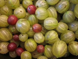 Seasonal Recipes: Gooseberries