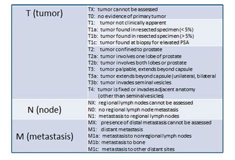 Advanced Prostate Cancer: Signs of Metastatic Disease