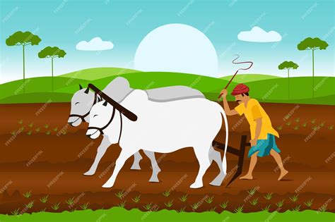 Premium Vector | Indian agriculture landscape Farmer working in indian rice fields rural worker ...