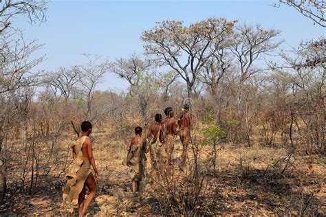 People of the San Tribe in Namibia Stock Image - Image of hunter, nama ...