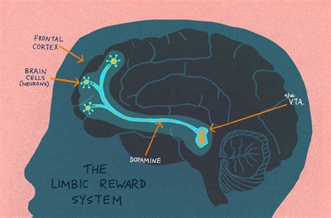 Curiosity: It Helps Us Learn, But Why? : NPR Ed : NPR