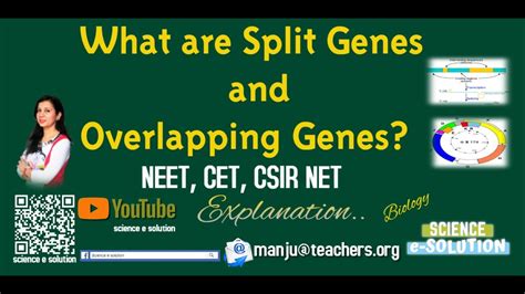 Split genes and overlapping genes || science e solution|| Manju sharma ...