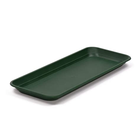 Small Rectangular Plastic Display Tray | Early Excellence