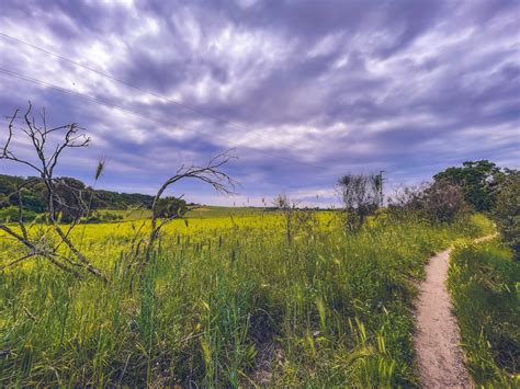 The best Hikes and Walks in Fiumicino | Outdooractive