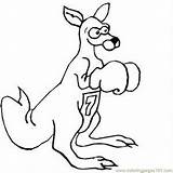 Coloring Pages Boxing Kangaroo Sports >  Free Printable sketch template