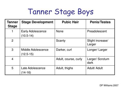 Tanner Chart Boys