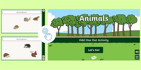 Animals Odd One Out Activity (teacher made) - Twinkl