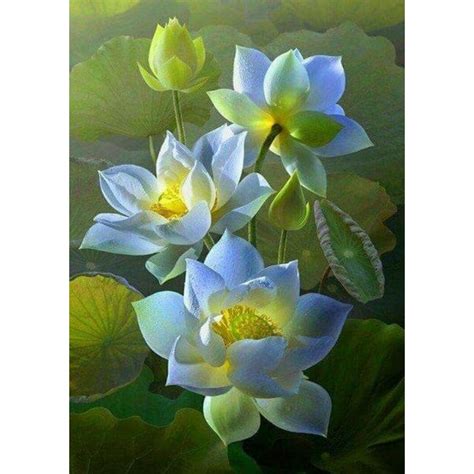 White Lotus Flowers Painting Kit - Diamond Painting Canada