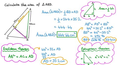 Question Video: Finding the Area of a Triangle Using the Euclidean Theorem | Nagwa