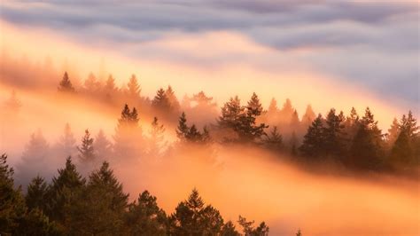 Crazy Fog Flow At Sunset Wallpaper,HD Nature Wallpapers,4k Wallpapers,Images,Backgrounds,Photos ...