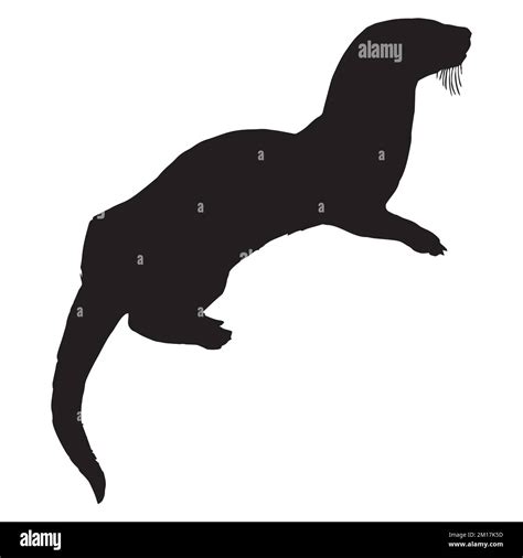 Vector Illustration of Sea Otter Silhouette Stock Vector Image & Art ...