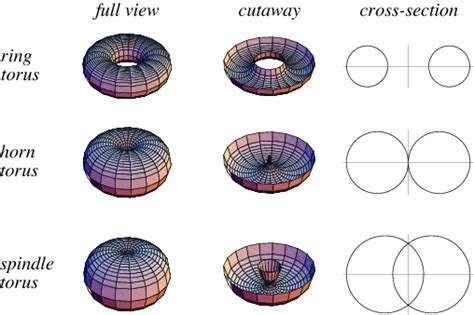 Torus - Alchetron, The Free Social Encyclopedia