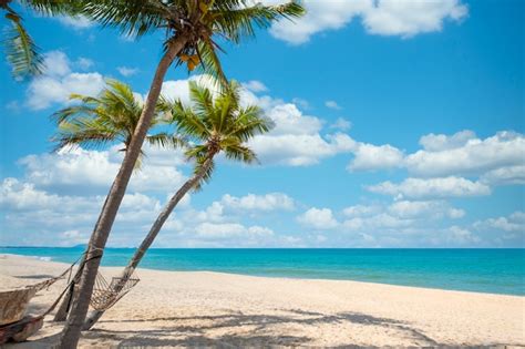 Premium Photo | Exotic tropical beach landscape for background or ...