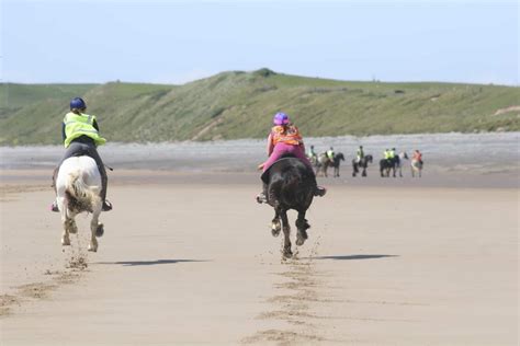 Beach riding | Horse and Rider