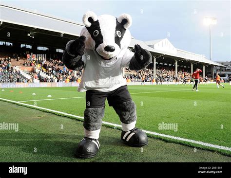 Mascot Billy the Badger, Fulham Stock Photo - Alamy