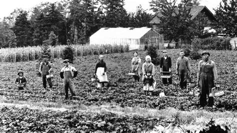 Bellevue’s history is rooted in rich farmland | PCC Community Markets