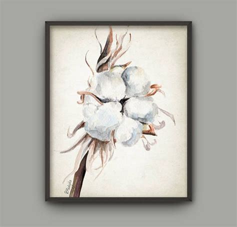 Cotton Plant Watercolor Art Print Cotton Farmhouse | Watercolor plants, Art, Botanical art