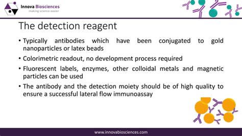 A guide to lateral flow immunoassay development