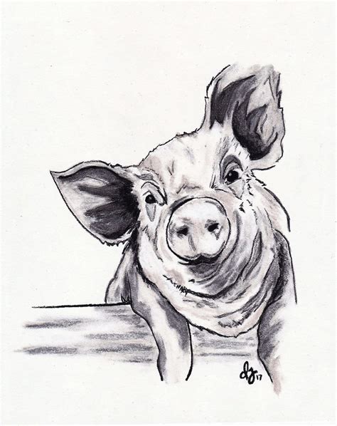 Charcoal Drawing Download, Pig Printable Art, Pig Digital Wall Art, Animal Print, Printable Wall ...