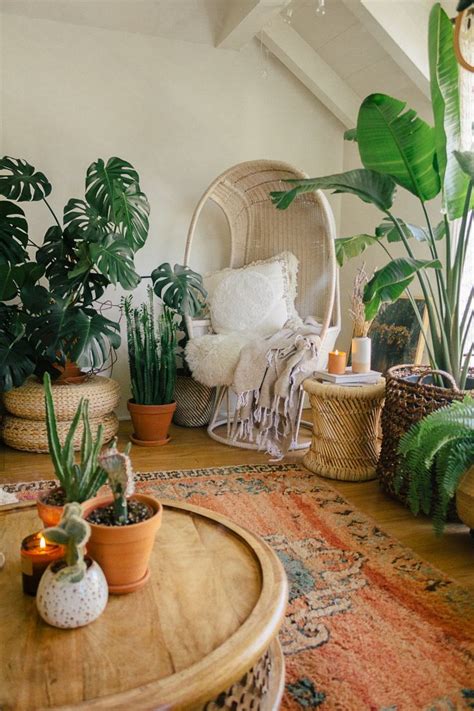 List Of Home Decor Plants Living Room For Small Space | Wallpaper HD ...