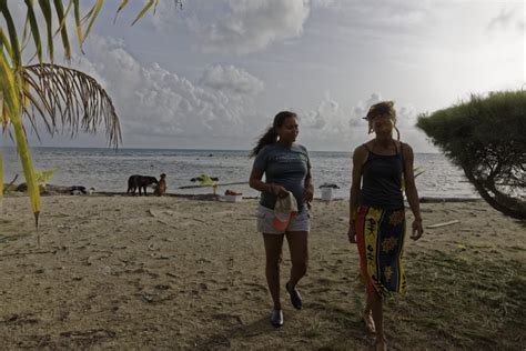 Growing Belize Gold: Seaweed Farming as the Future of Marine ...