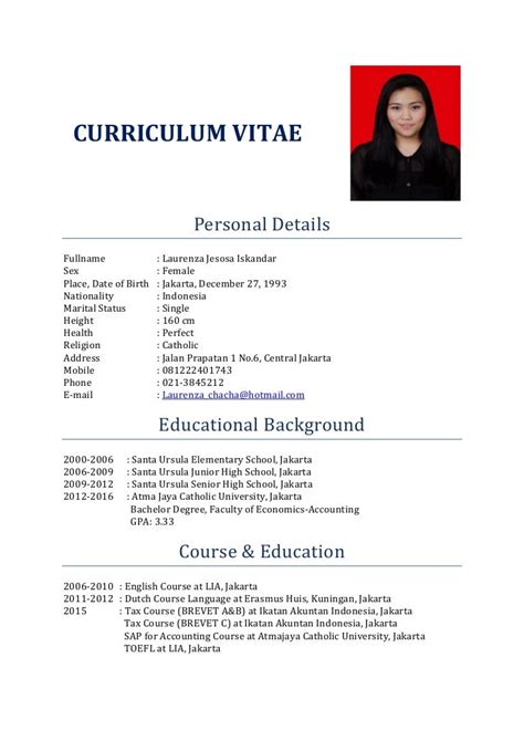 CURRICULUM VITAE (pdf)