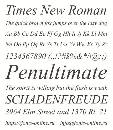 Times New Roman font