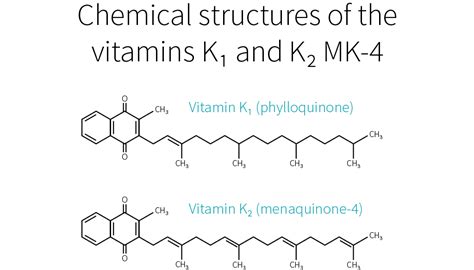 Should you supplement with vitamin K? - Examine.com | Examine.com